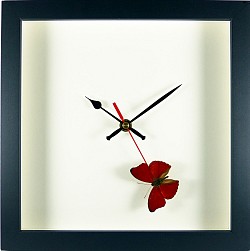 papillon Cymothoe sangaris - horloge style moderne