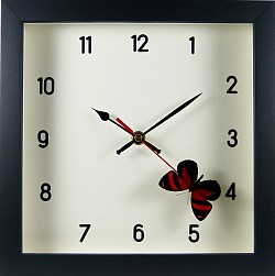 papillon Callicore cynosura - horloge style moderne 12 chiffres