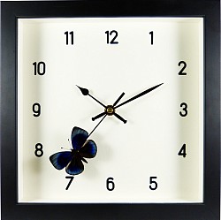 papillon Asterope leprieuri - horloge style moderne 12 chiffres