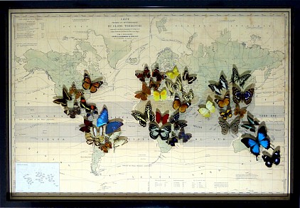 Cadre papillons sur mappemonde
